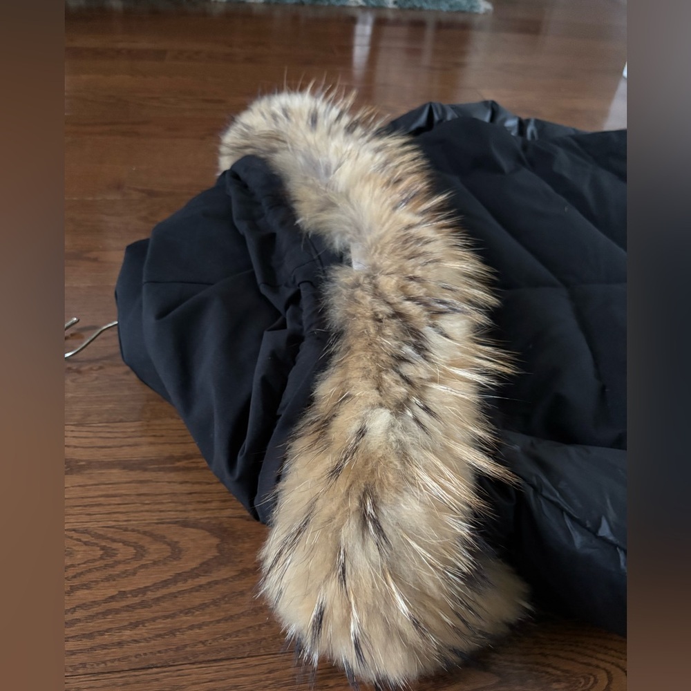 Atelier Noir Black Down Puffer Coat division of Rudsak Genuine Raccoon Fur Trim - Picture 11 of 16